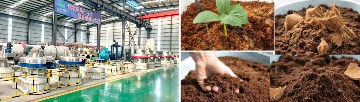 Línea de producción de fibra de coco Línea de producción de fibra de coco