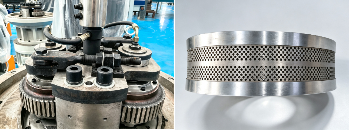 Máquina de Pellets de Carvão