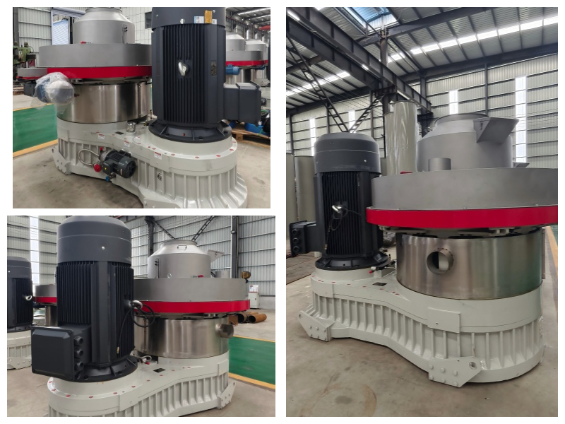 Máquina de pellets de palma