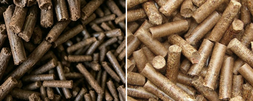 Máquina de Pellets de Biomasa Yuchuan